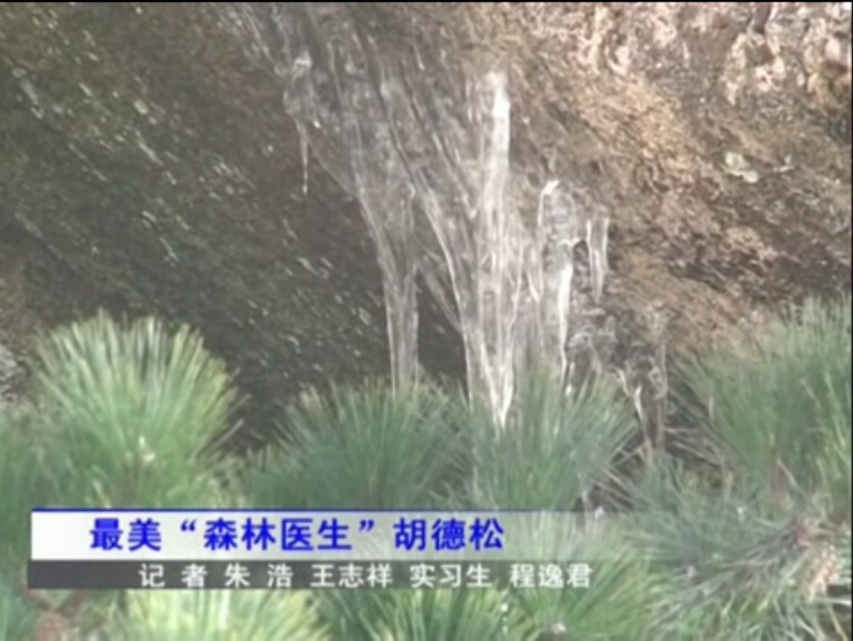 我校1979届胡德松校友获全国“最美森林医生”称号
