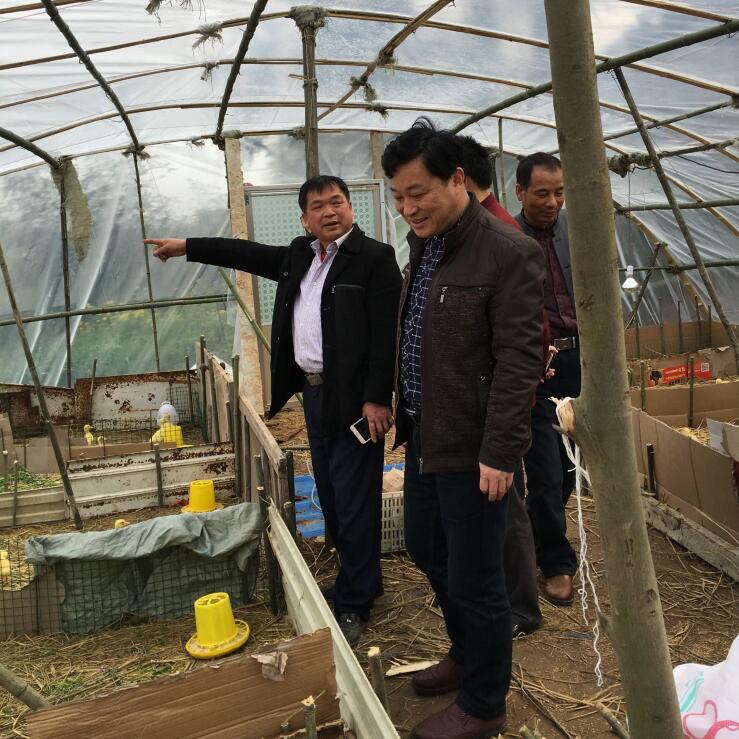 野寨中学：产业扶贫精准施策，立足实际贵在扶志