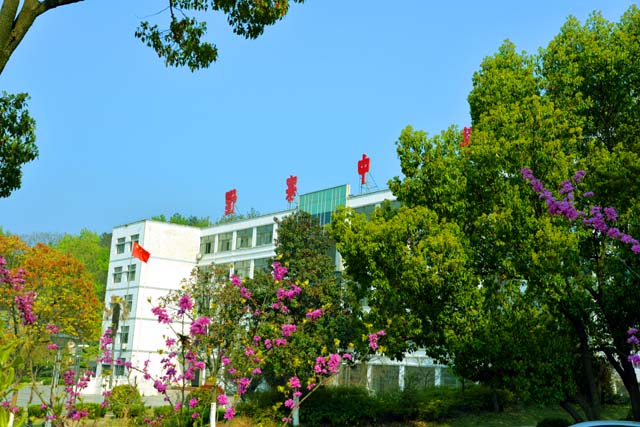 2026潜山市报考国家专项计划考生资格审核表